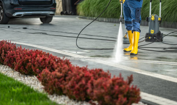 Best Sidewalk and Walkway Cleaning  in Sigourney, IA